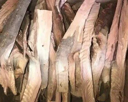 Jamaican Pimento Wood Sticks